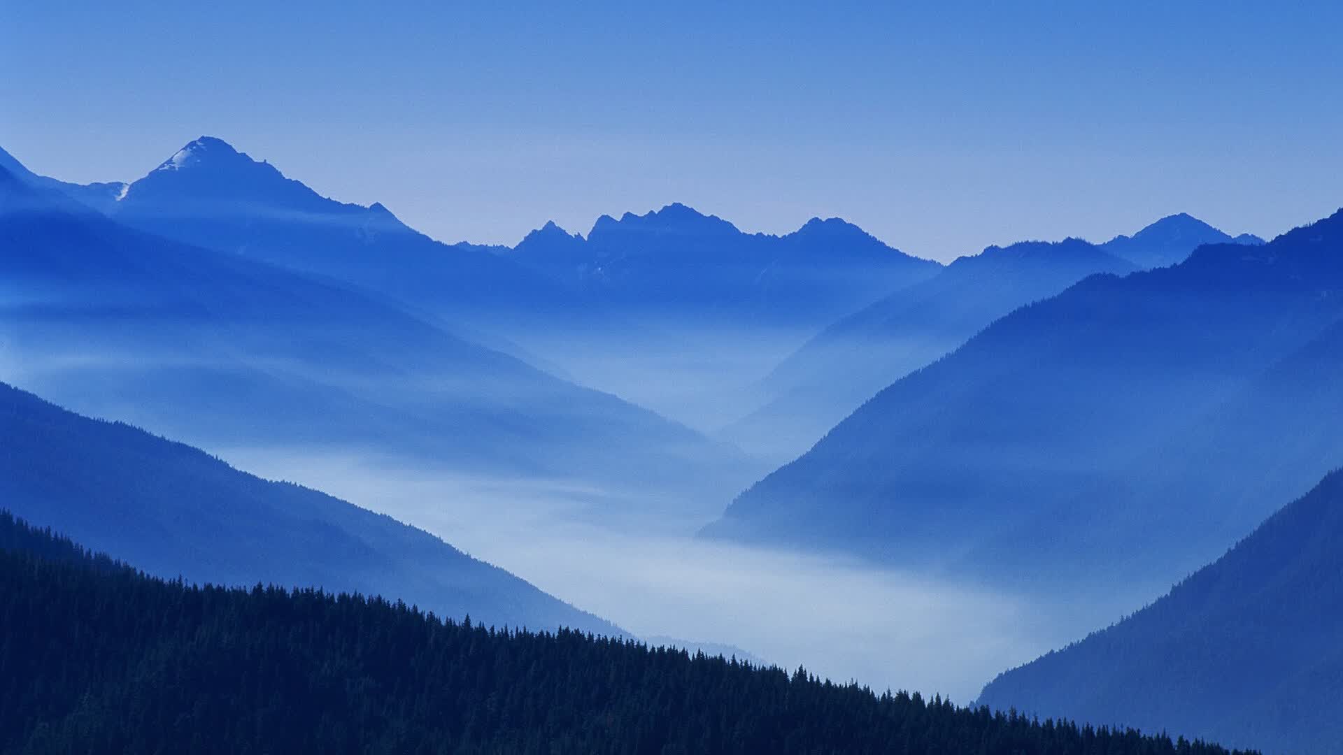 世界游泳裁判评分争议案件仲裁结果,游泳世界锦标赛